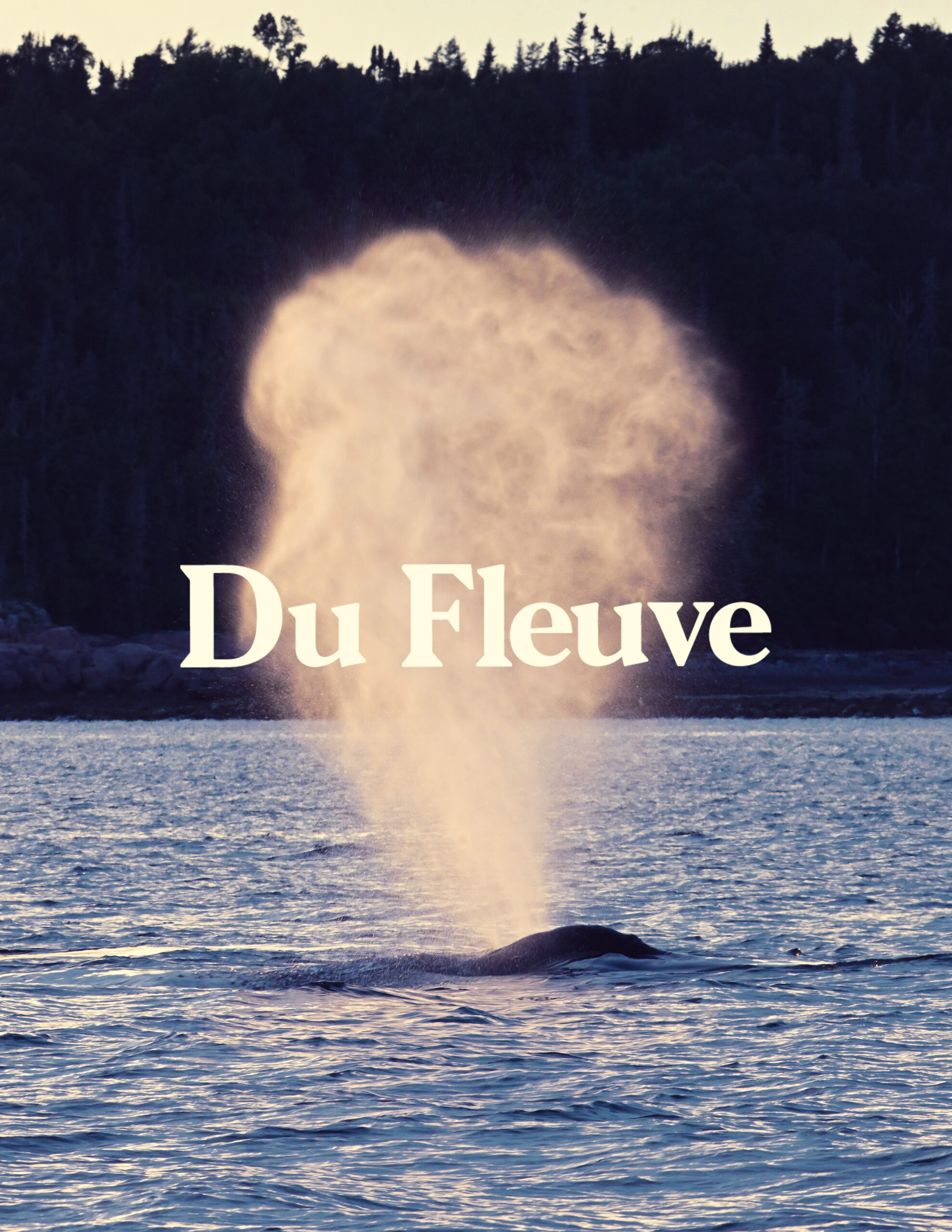 Du Fleuve